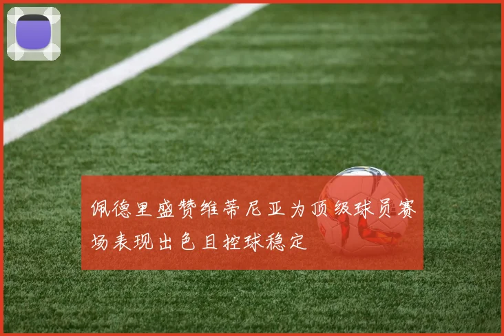 佩德里盛赞维蒂尼亚为顶级球员赛场表现出色且控球稳定