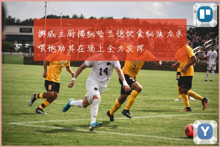 挪威主厨揭秘哈兰德饮食秘诀力求喂饱助其在场上全力发挥